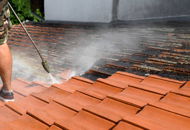 Best Roof Power Washing Services  in Maplewood, MO
